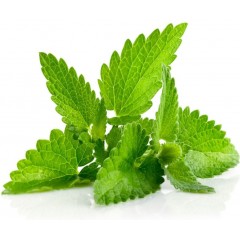 Caramelle alla menta piperita